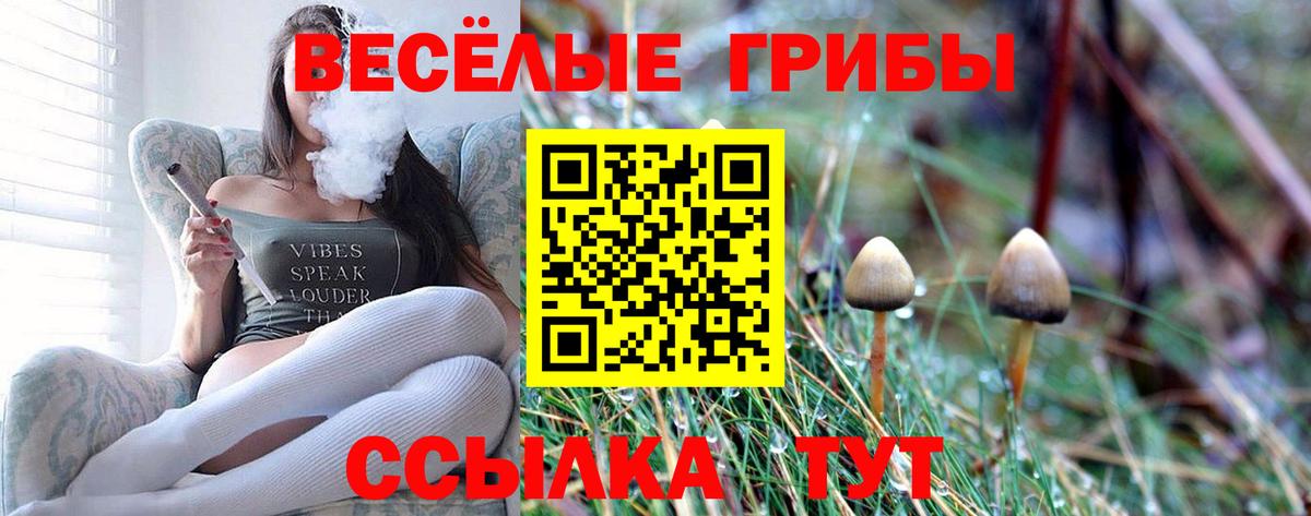 Саки  Псилоцибиновые грибы ЛСД  Вход с VPN  Галлюциногенные грибы Psilocybine cubensis 